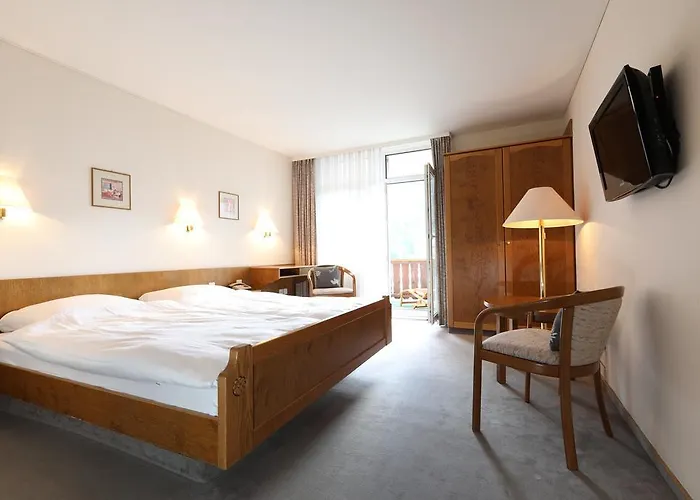 Concordia 3* Давос