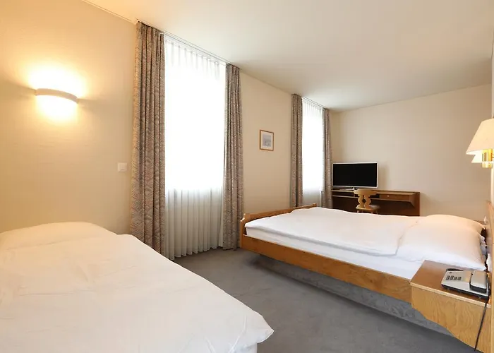 Отель Concordia